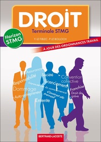 HORIZON STMG DROIT TERMINALE STMG