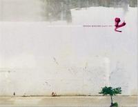 Broken Windows - Graffiti NYC /anglais