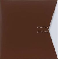 Sensitive Geometries : Brazil 1950s-1980s /anglais