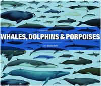 Whales, Dolphins and Porpoises /anglais