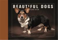 BEAUTIFUL DOGS POSTCARD BOOK /ANGLAIS