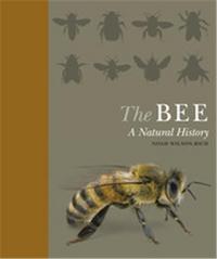 The Bee A Natural History /anglais