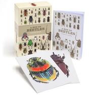 A Box of Beetles /anglais