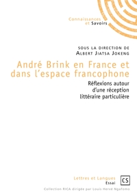 André Brink en France et dans l'espace francophone