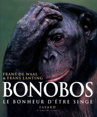 Bonobos