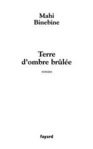 TERRE D'OMBRE BRULEE