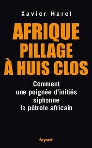 AFRIQUE PILLAGE A HUIS CLOS - COMMENT UNE POIGNEE D'INITIES SIPHONE LE PETROLE AFRICAIN