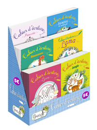 Boite 60 exemplaires - cahiers d'ecriture