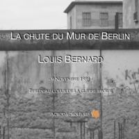 La chute du mur de Berlin