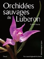 Orchidées sauvages du Lubéron