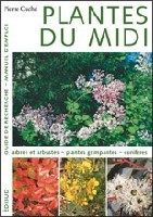 Plantes du Midi - guide de recherche, manuel d'emploi