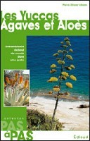 LES YUCCAS, AGAVES ET ALOES - UNE AMBIANCE DE BOUT DU MONDE DANS LE JARDIN