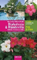 DIPLADENIA & MANDEVILLA