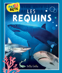 PAS SI BETE - LES REQUINS