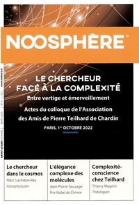NOOSPHERE 21 - LE CHERCHEUR FACE A LA COMPLEXITE