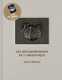 LES METAMORPHOSES DE L'ARGENTIQUE