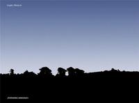 Sophy Rickett /anglais