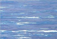 David Parker Sirens /anglais