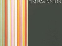 Tim Bavington Paintings 1998-2005 /anglais