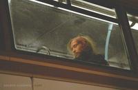 Dryden Goodwin Cast /anglais