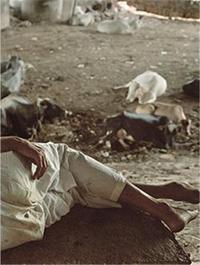 Klaus Mettig Don't Be Left Behind /anglais