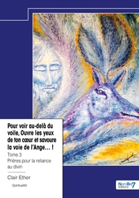 Pour voir au-delà du voile, Ouvre les yeux de ton coeur et savoure la voie de l'Ange...! - Tome 3
