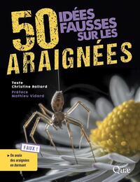 50 idées fausses sur les araignées