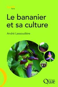 LE BANANIER ET SA CULTURE