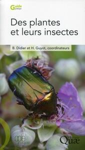 DES PLANTES ET LEURS INSECTES