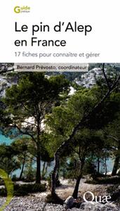 Le pin d'Alep en France