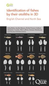 IDENTIFICATION OF FISHES BY THEIR OTOLITHS IN 3D - ENGLISH CHANNEL AND NORTH SEA