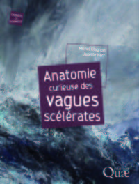 Anatomie curieuse des vagues scélérates