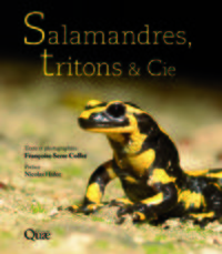 Salamandres, tritons et Cie