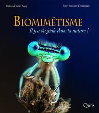 Biomimétisme