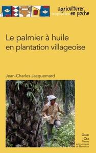 LE PALMIER A HUILE EN PLANTATION VILLAGEOISE