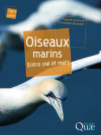 OISEAUX MARINS - ENTRE CIEL ET MERS.