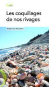 LES COQUILLAGES DE NOS RIVAGES