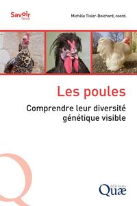 Les poules