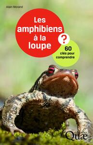 LES AMPHIBIENS A LA LOUPE ? - 60 CLES POUR COMPRENDRE