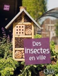 DES INSECTES EN VILLE