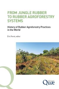 FROM JUNGLE RUBBER TO RUBBER AGROFORESTRY SYSTEMS - HISTORY OF RUBBER AGROFORESTRY PRACTICES IN THE