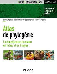 Atlas de phylogénie