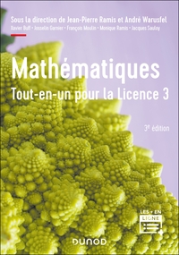 MATHEMATIQUES TOUT-EN-UN POUR LA LICENCE 3 - 3E ED.