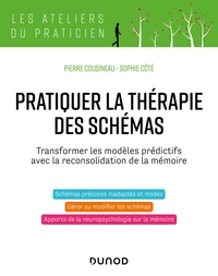 PRATIQUER LA THERAPIE DES SCHEMAS - TRANSFORMER LES MODELES PREDICTIFS AVEC LA RECONSOLIDATION DE LA