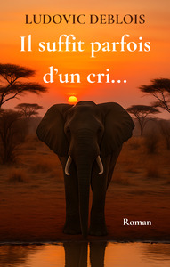 Il suffit parfois d'un cri...