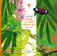 CACHE DANS LA FORET TROPICALE