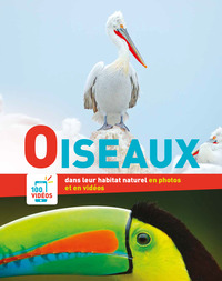 EN PHOTOS ET EN VIDEOS - OISEAUX