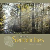 La forêt de Senonches