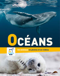 EN PHOTOS ET EN VIDEOS - OCEANS