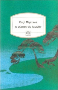 LE DIAMANT DU BOUDDHA